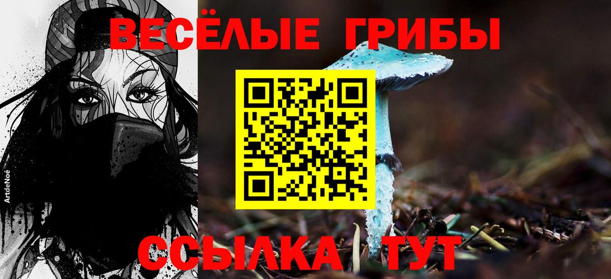 Псилоцибиновые грибы MAGIC MUSHROOMS Ирбит